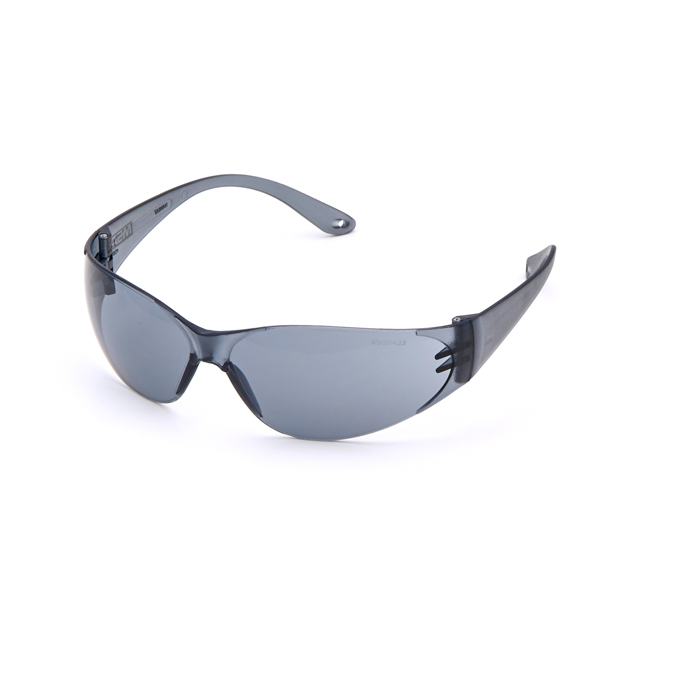 Arctic Spectacles, Gray, Outdoor